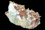 Ruby Red Vanadinite Crystals on Barite - Morocco #100714-1